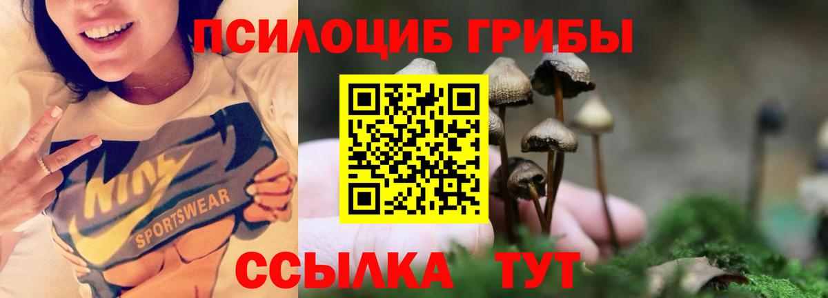 Галлюциногенные грибы мицелий Златоуст